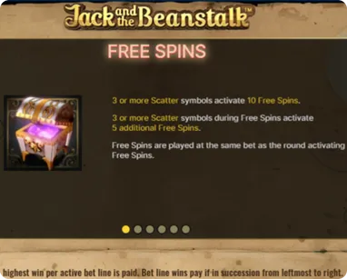 Free Spins Features