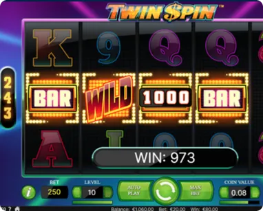 Gameplay Twin Spin Slot